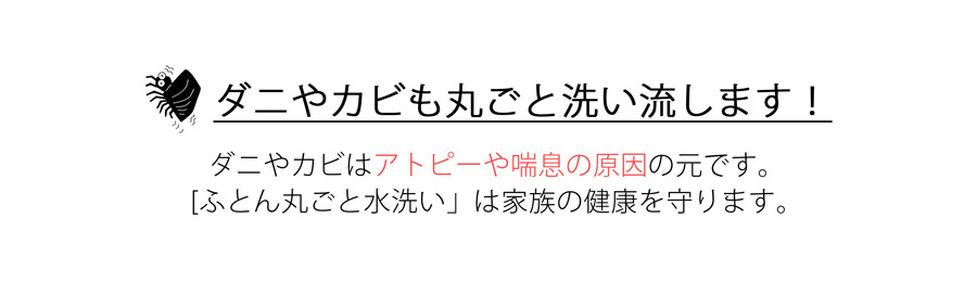 ダニやカビも丸ごと洗い流す